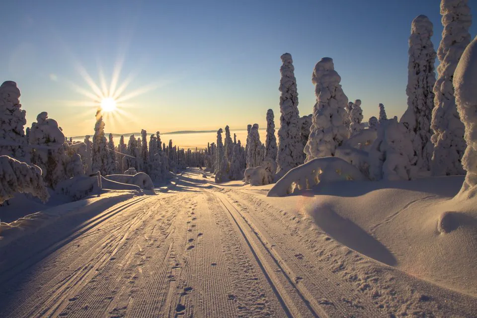 Aurinkoinen latu kulkee Lapin tykkylumipuiden välissä.